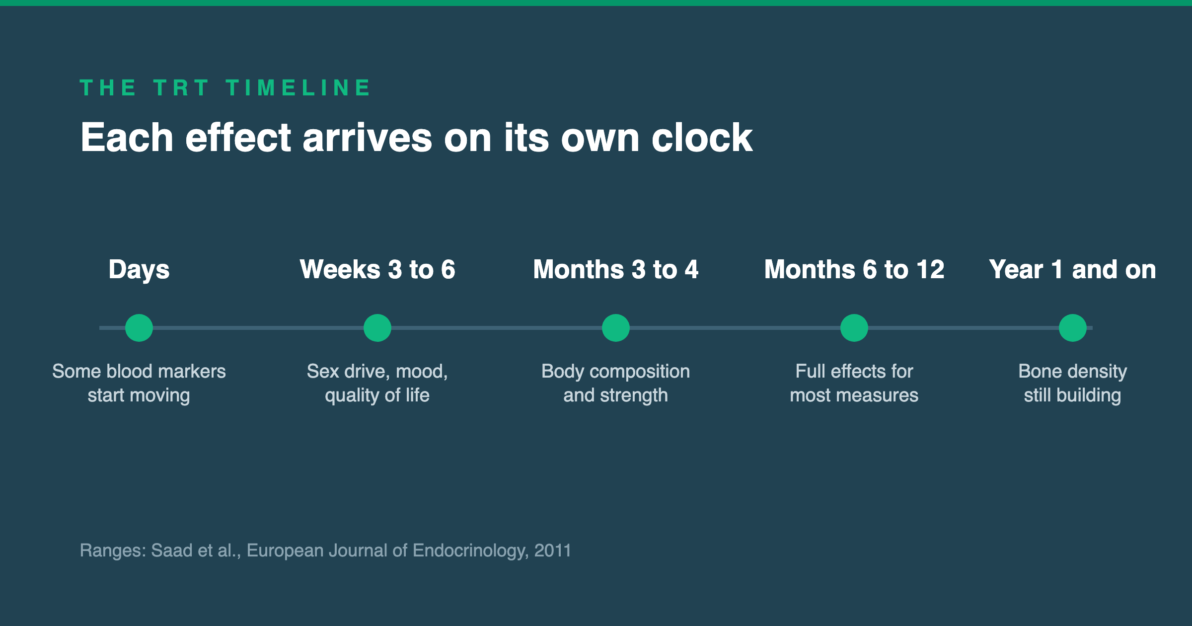 Timeline showing how long TRT takes to work: blood markers within days, sex drive and mood at weeks three to six, body composition at months three to four, full effects at six to twelve months, bone density still improving after a year.