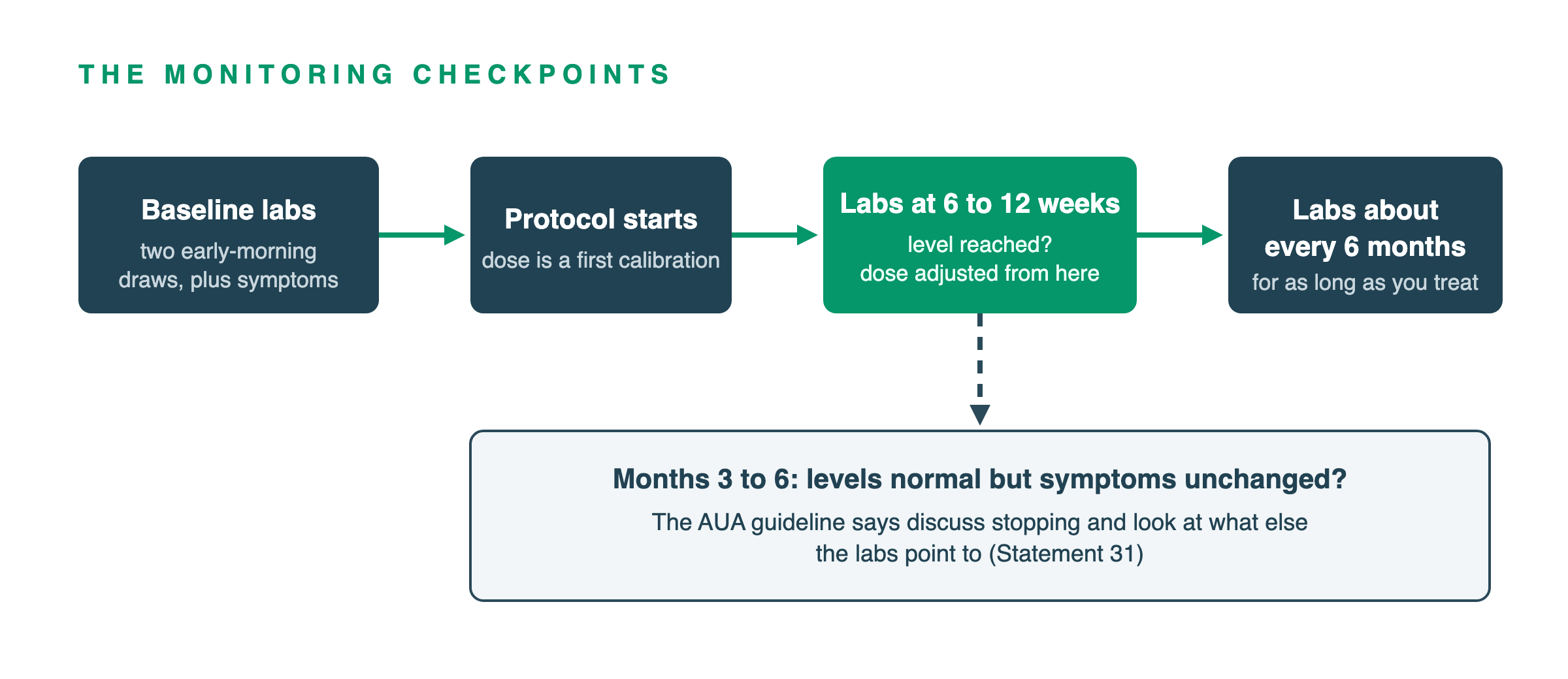 Flow of TRT monitoring checkpoints: baseline morning labs, protocol start, labs at six to twelve weeks with dose adjustment, labs about every six months, and a stopping discussion at three to six months if levels are normal but symptoms unchanged.